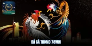 Đá gà Thomo 78win